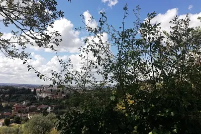 Nenina