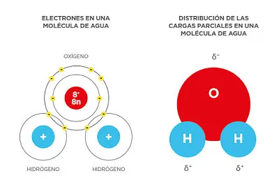 MolÃ©cula del agua