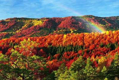 montaÃ±a otoÃ±al jigsaw puzzle