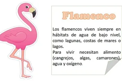 FLAMENCO