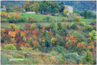 autunno in Valpolicella jigsaw puzzle