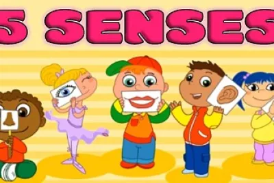 THE FIVE SENSES