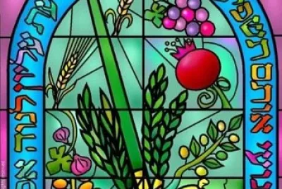 ×¡×•×›×•×ª