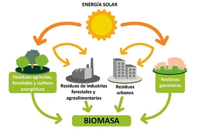 Biomasa