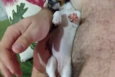 Lelom e Bella
