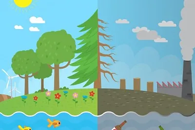 פאזל של MEDIO AMBIENTE
