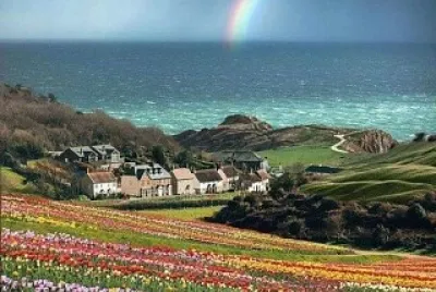 פאזל של arco iris