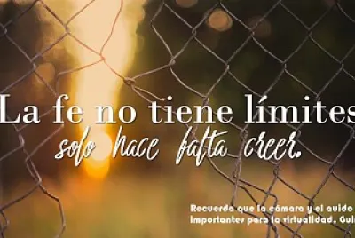fe