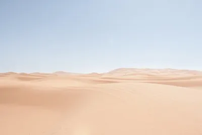 desert vector