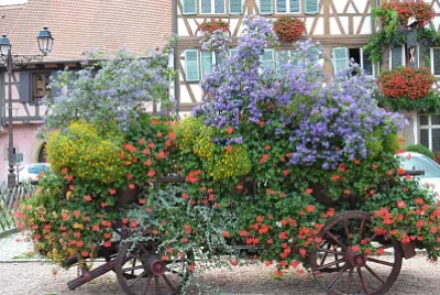 פאזל של alsace