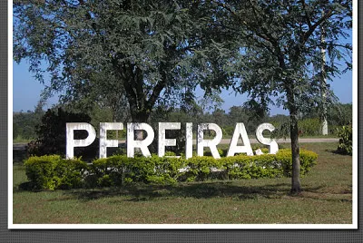 Pereiras