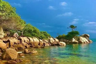 natural jigsaw puzzle