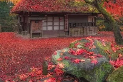 paisagem 11 jigsaw puzzle