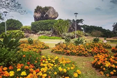 pedra da cebola jigsaw puzzle