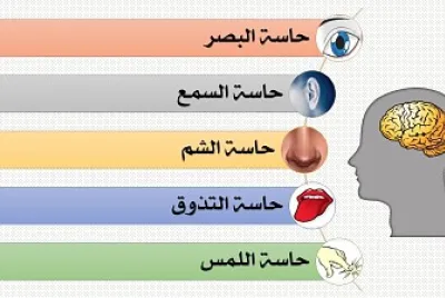 Ø§Ù„Ø­ÙˆØ§Ø³ Ø§Ù„Ø®Ù…Ø³