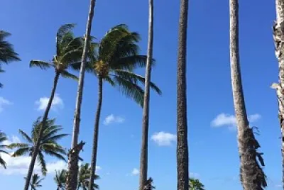 Kaluakoi, Molokai Hawaii