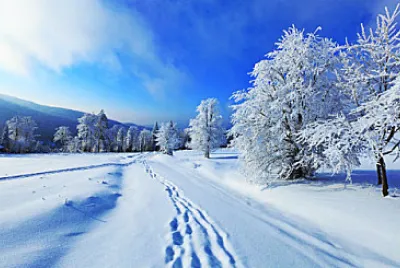 snow jigsaw puzzle