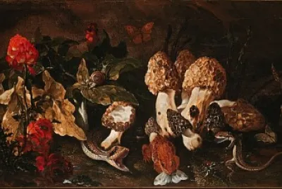 Paolo Porpora_Sottobosco