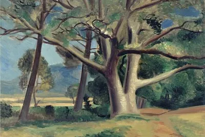 derain en Provence