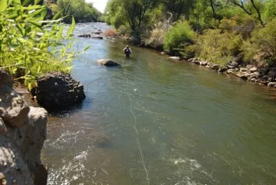 rio mapuche