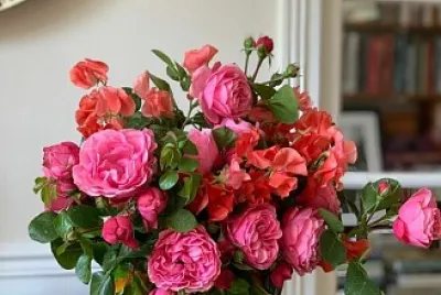 flores