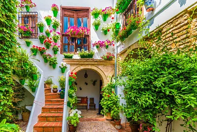 Patio tÃ­pico de CÃ³rdoba
