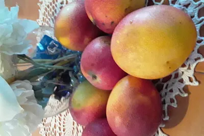 mangos