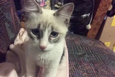 Lluvia Carolina Ruiz Patlan