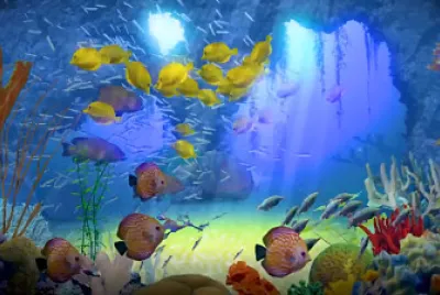 fish