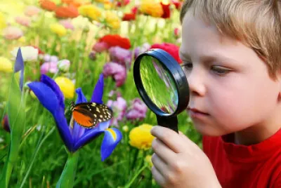 LA OBSERVACION