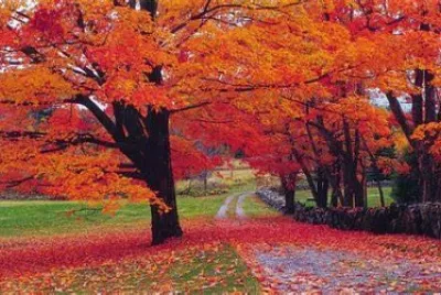 Automne