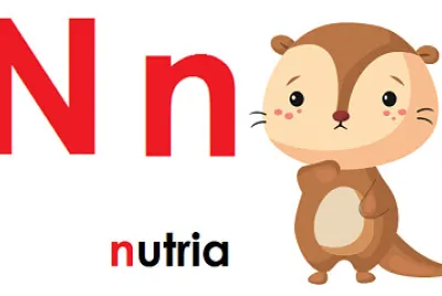 Nancy nutria