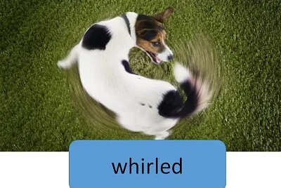 פאזל של whirled