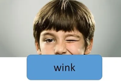 פאזל של wink