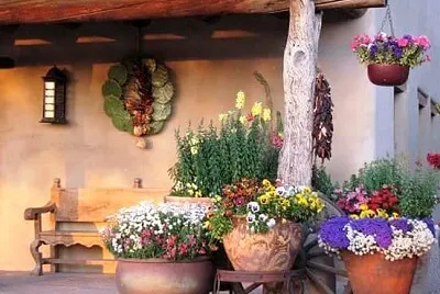 flores
