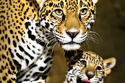 mom #317