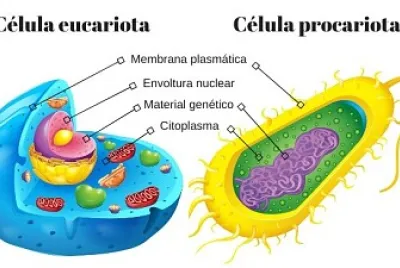 la celula