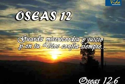 פאזל של OSEAS