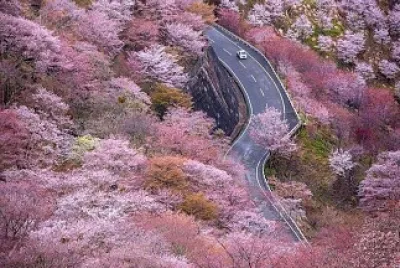 imagem jigsaw puzzle