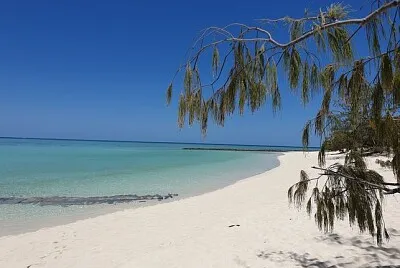 Heron island