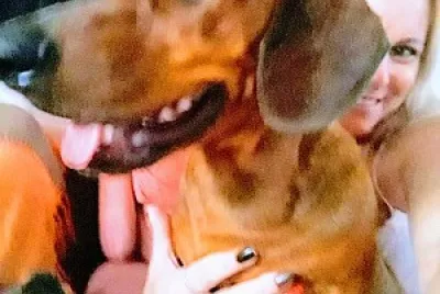 Danchund