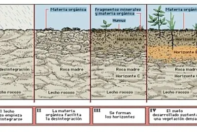 FormaciÃ³n de Suelos