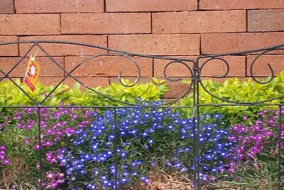 פאזל של FLOWERS