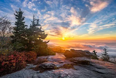 North Carolina USA