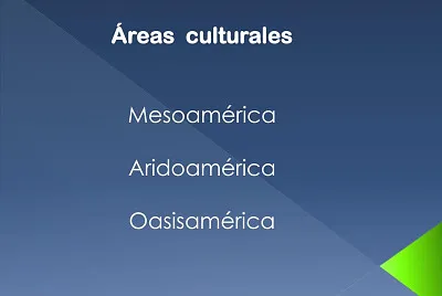 12 piezas