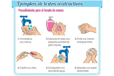 12 piezas