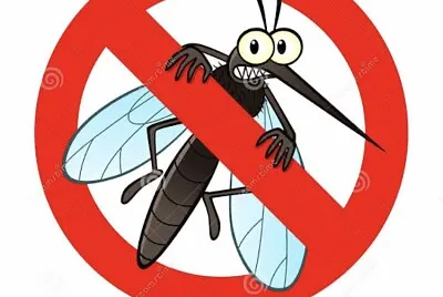 JanaÃ­na Nascimento jigsaw puzzle