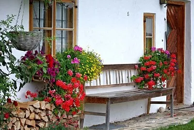 פאזל של PORCHE