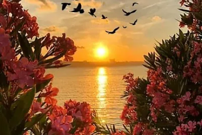 Natureza