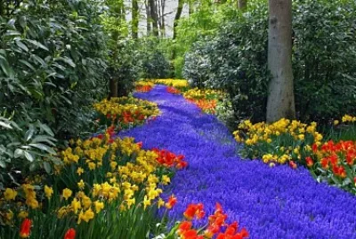 Flower jigsaw puzzle